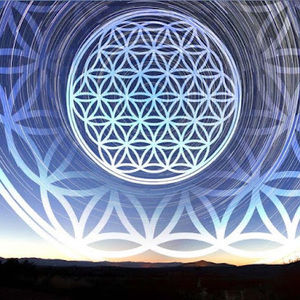 Meet your Posher, Norma